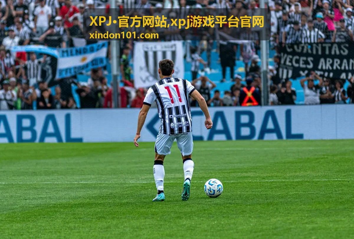 XPJ·官方网站,xpj游戏平台官网 热门分类封面