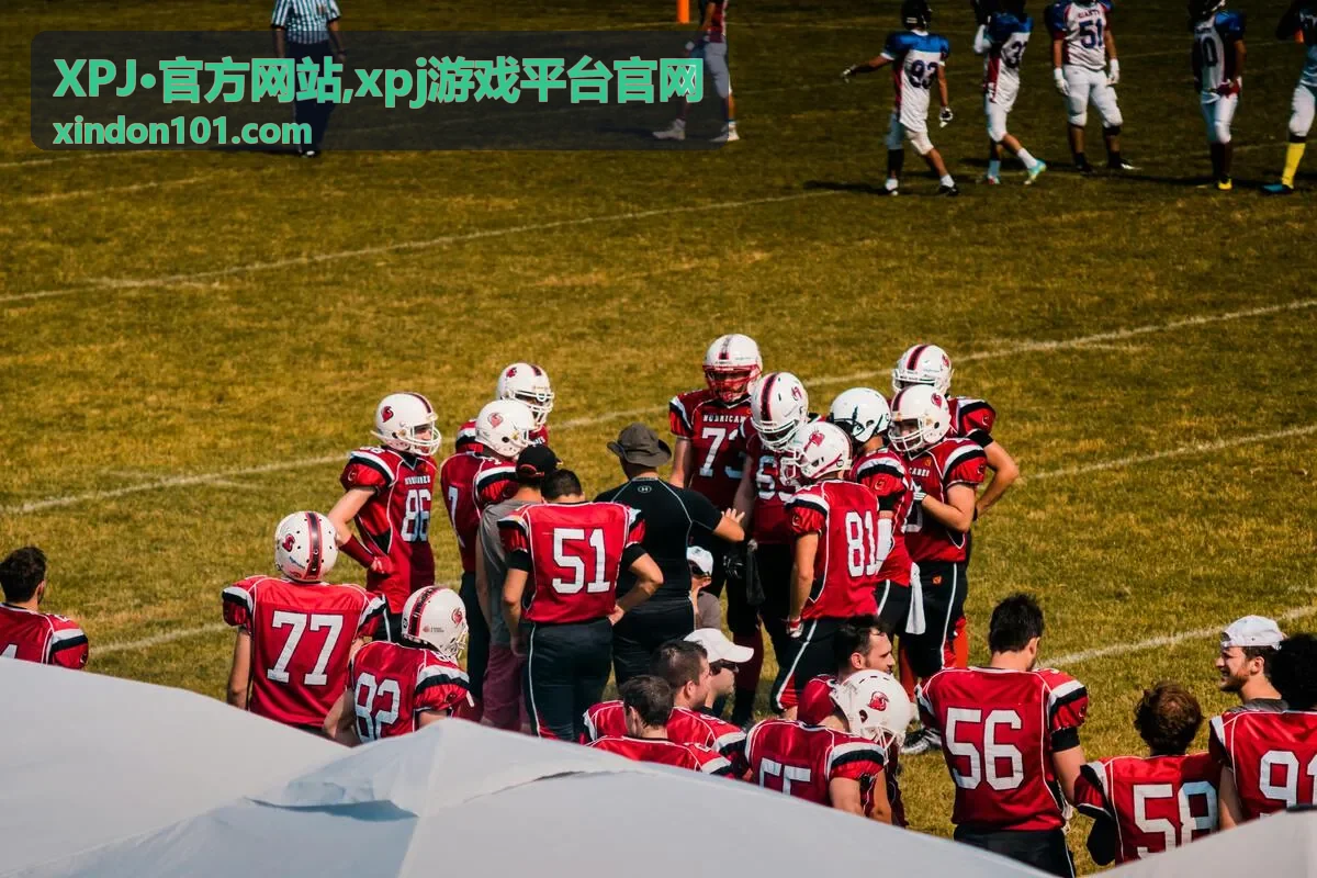 XPJ·官方网站,xpj游戏平台官网 最新整理封面
